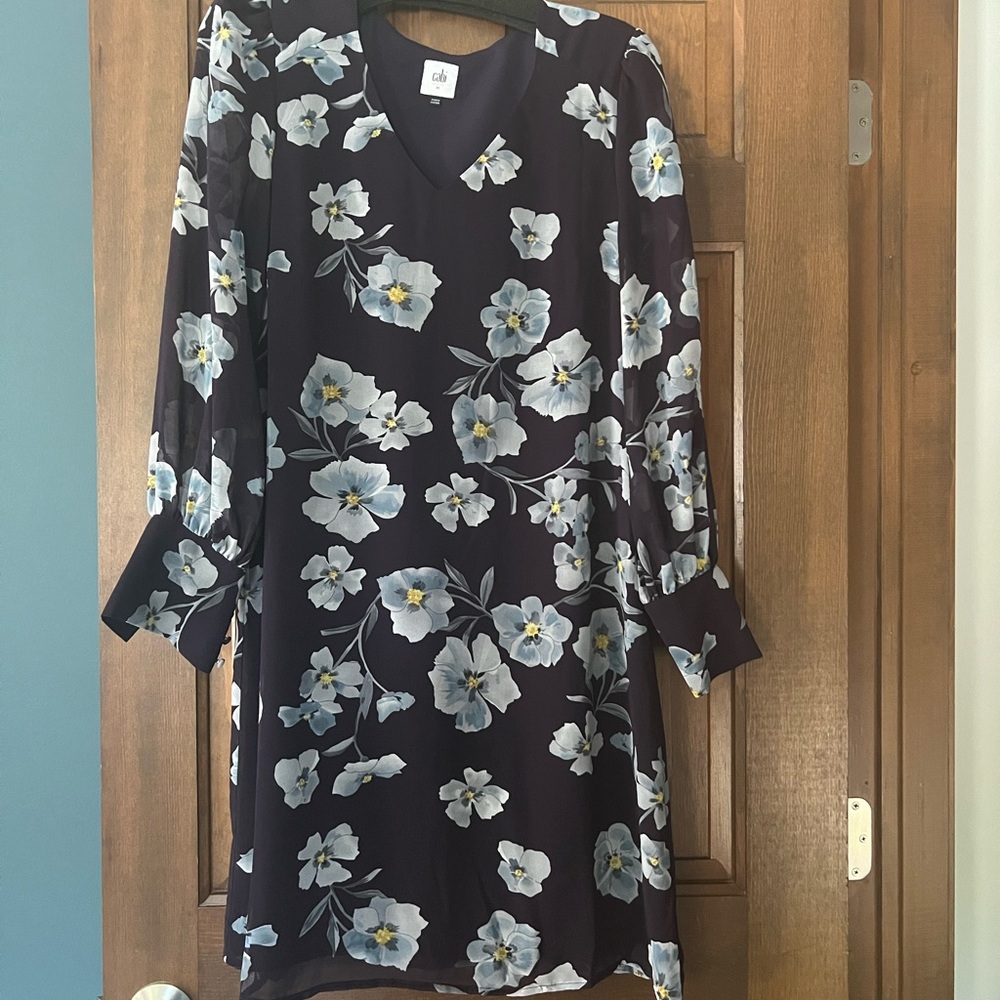 Cabi dress